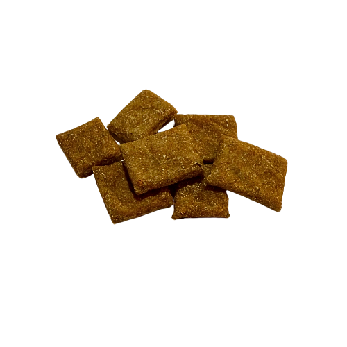 Mini Organic Wild Salmon Pumpkin Cookies